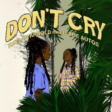 Buy Don't cry